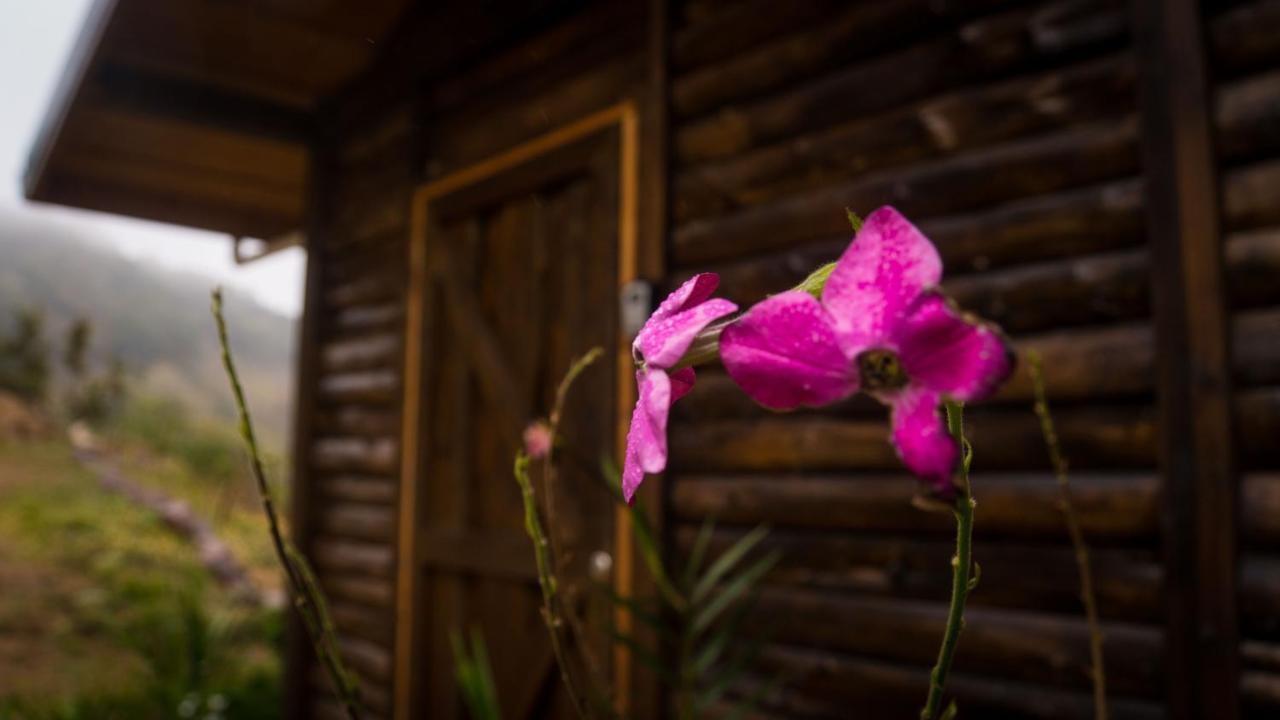 Finca Las Huellas: Cabana Acogedora En La Montana Estrella Exterior photo