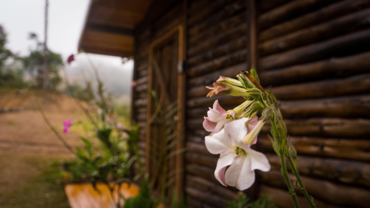 Finca Las Huellas: Cabana Acogedora En La Montana Estrella Exterior photo